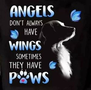 Meet your Posher, Wolffang